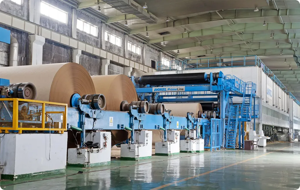 روال تولید ظروف کاغذی در کارخانه